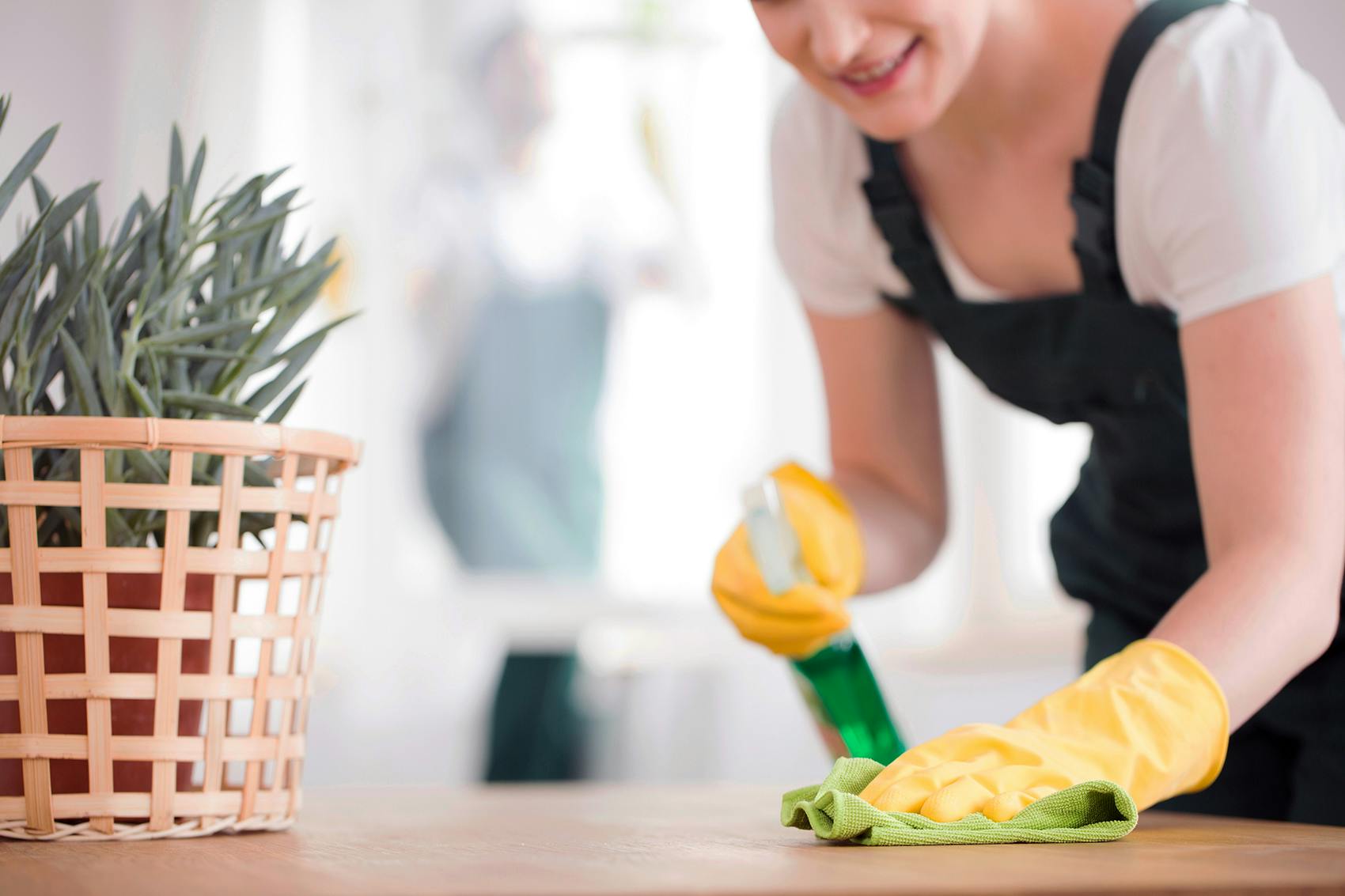 woman cleaning 
